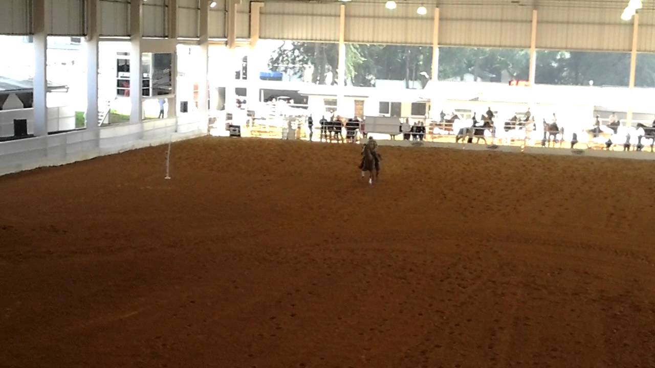 Queen victory & Junior camp. Exib 17.555  HRB