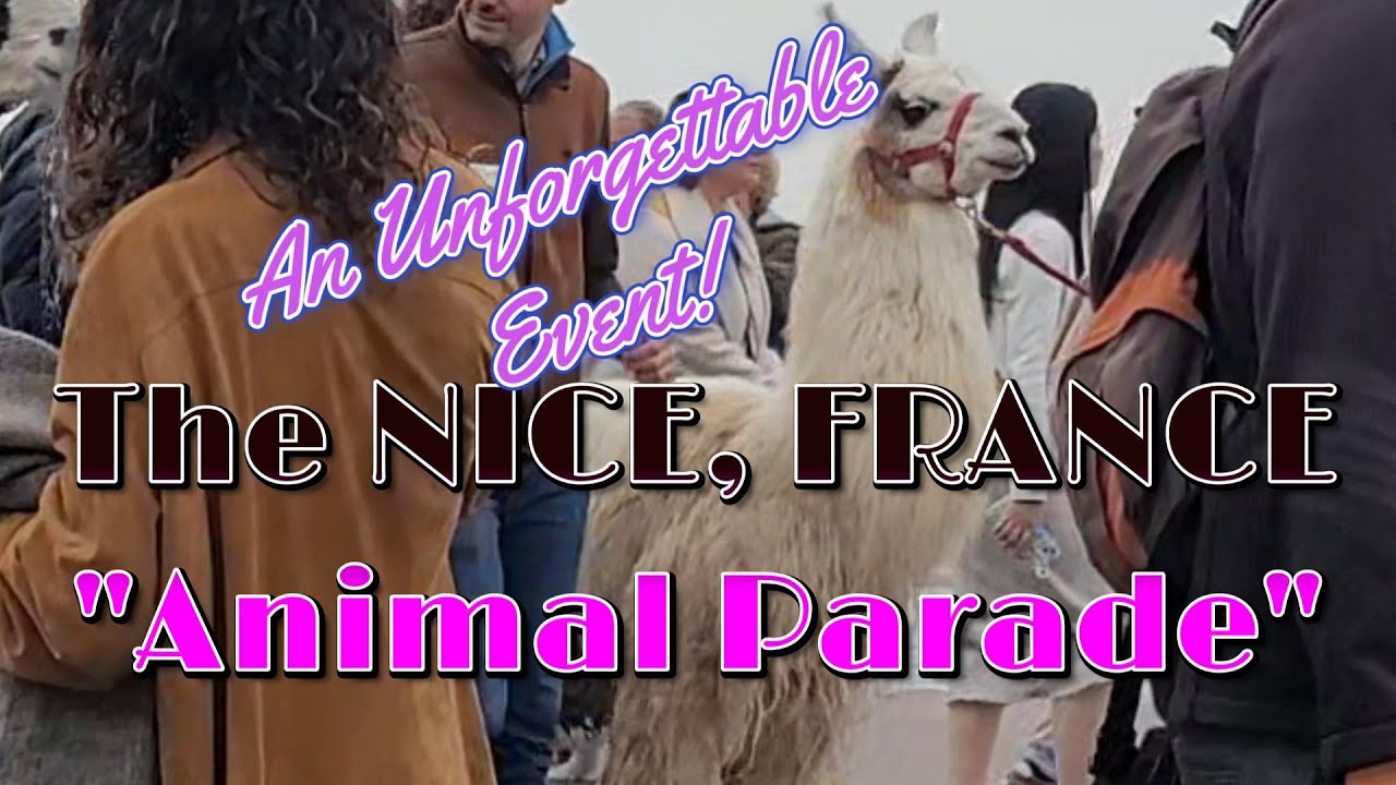 НЕЗАБЫВАЕМЫЕ ВПЕЧАТЛЕНИЯ НА «ПАРАДЕ ЖИВОТНЫХ»