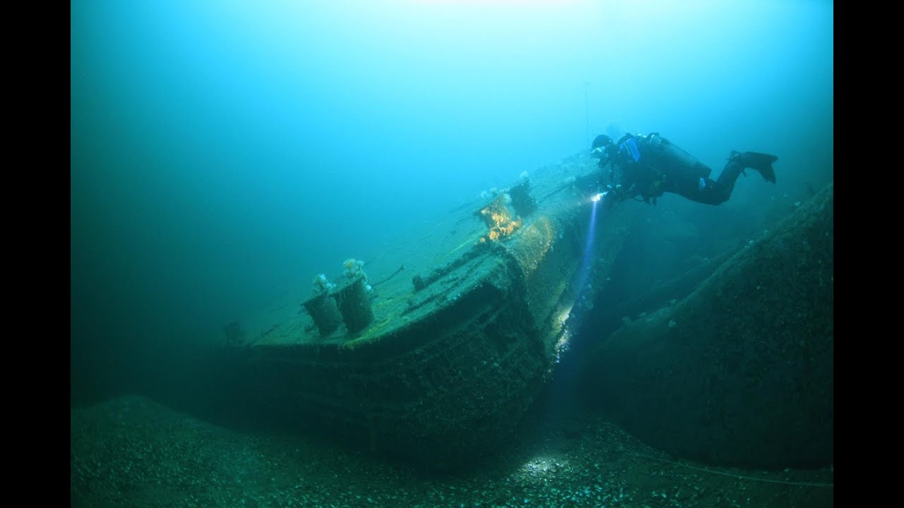 Diving with ProDykk at Svestad Brygge in the fjord of Oslo (Norway)