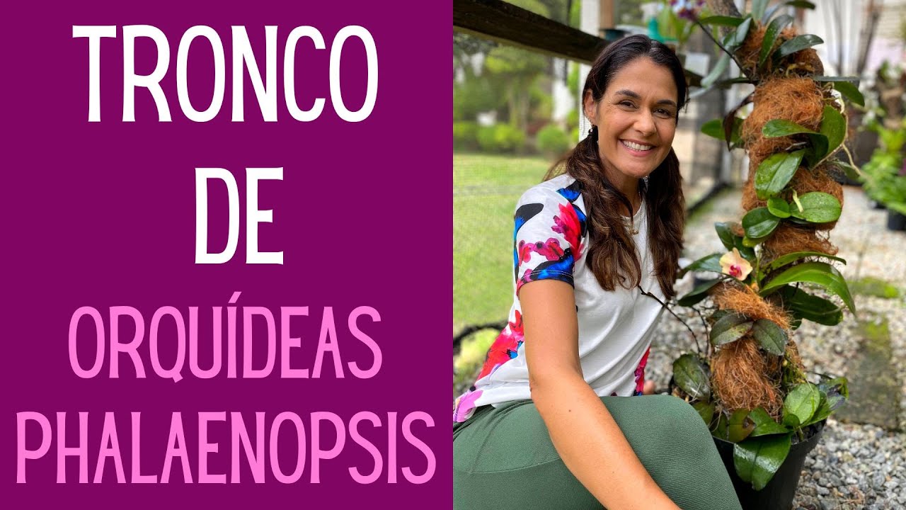 ORQUÍDEAS: Aprenda a fazer um tronco cheio de orquídeas