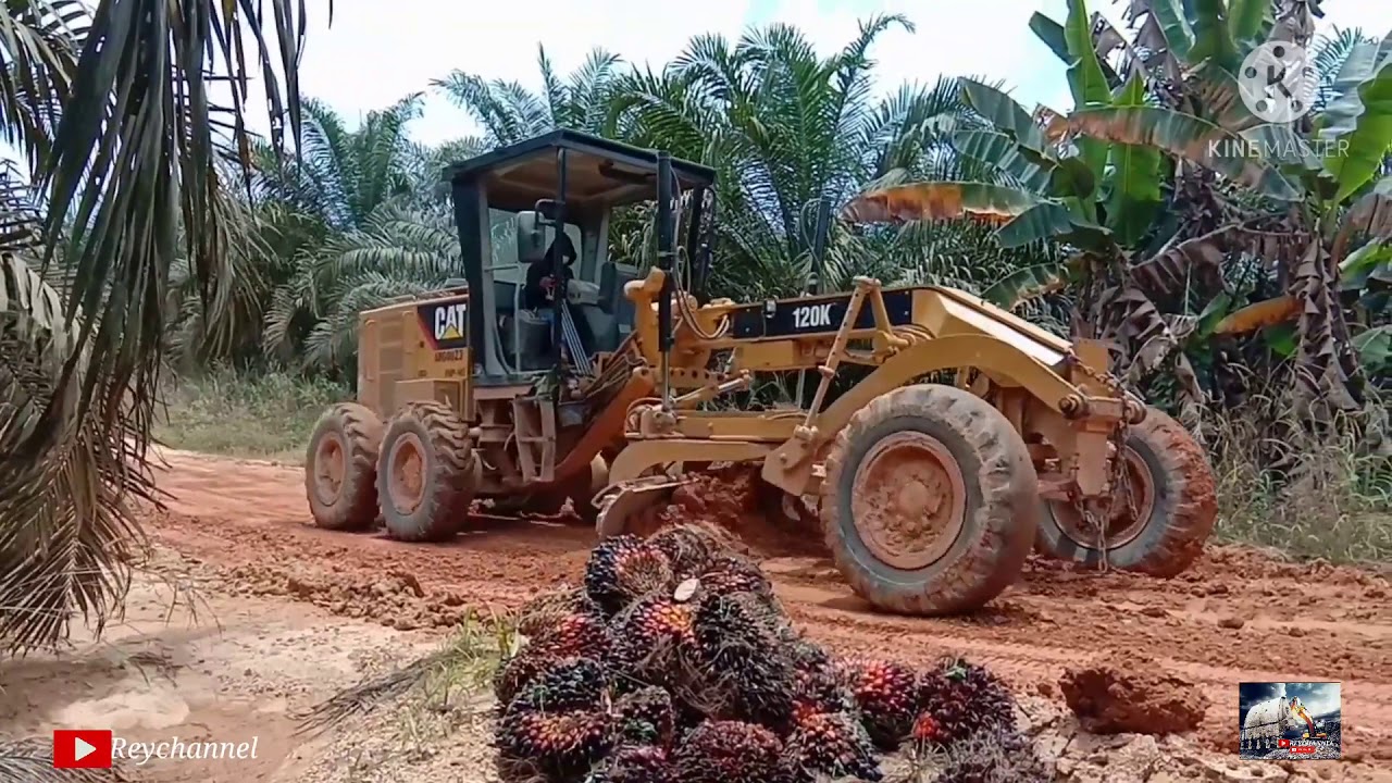 MOTOR GRADER SERVIS JALAN KEBUN SAWIT#catmotorgrader120k