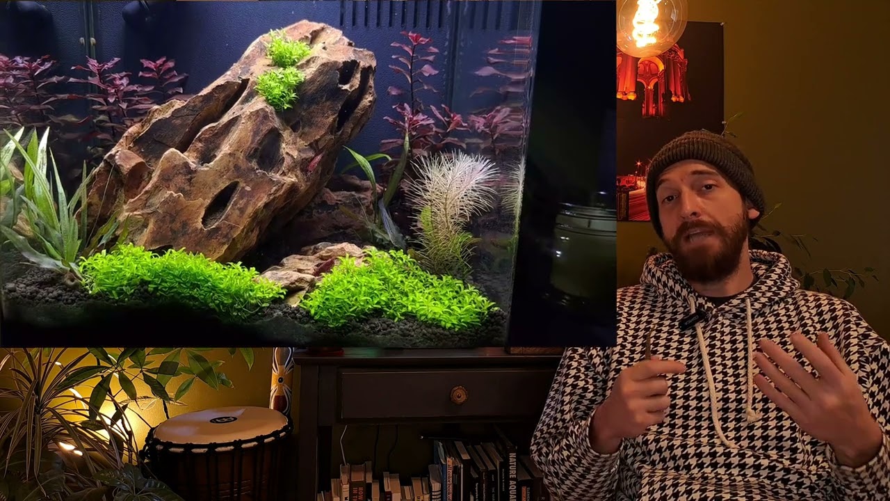 Water Changes or No Water Changes & Optimization | Deep Dive
