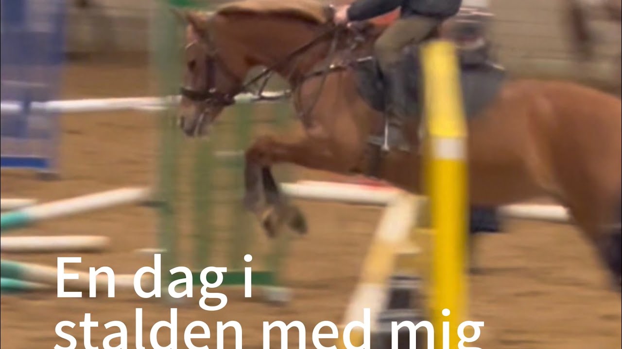 En dag i stalden med mig💗🐴