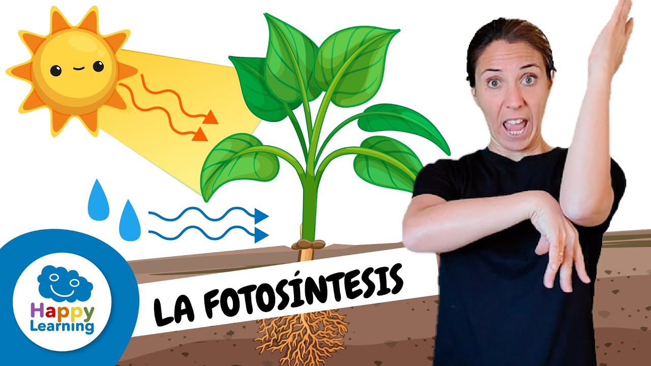 LA FOTOSÍNTESIS en Lengua de Signos | Ciencias Naturales Para Niños | Happy Learning #fotosintesis