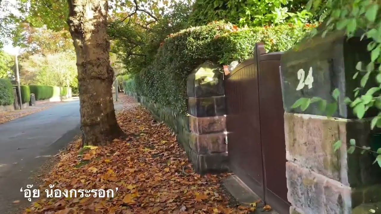 Autumn in Manchester UK | Let&rsquo;s walk together