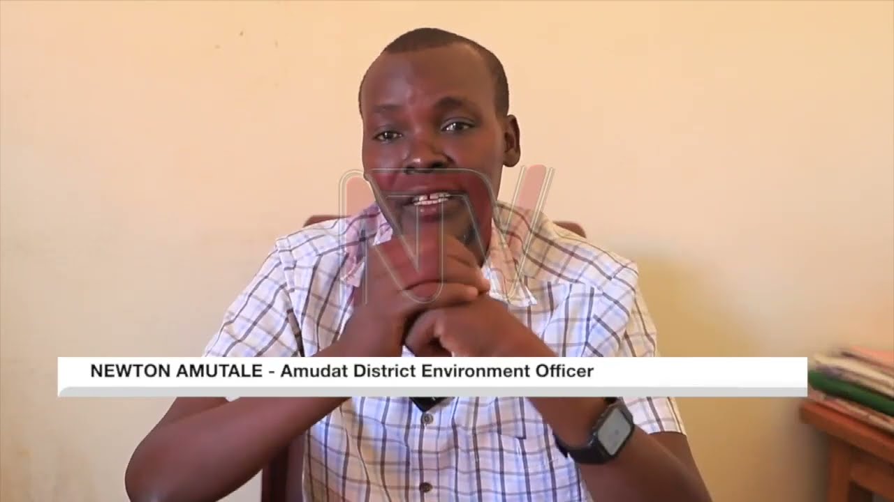 Pokot tree conservation tradition threatened by agriculture