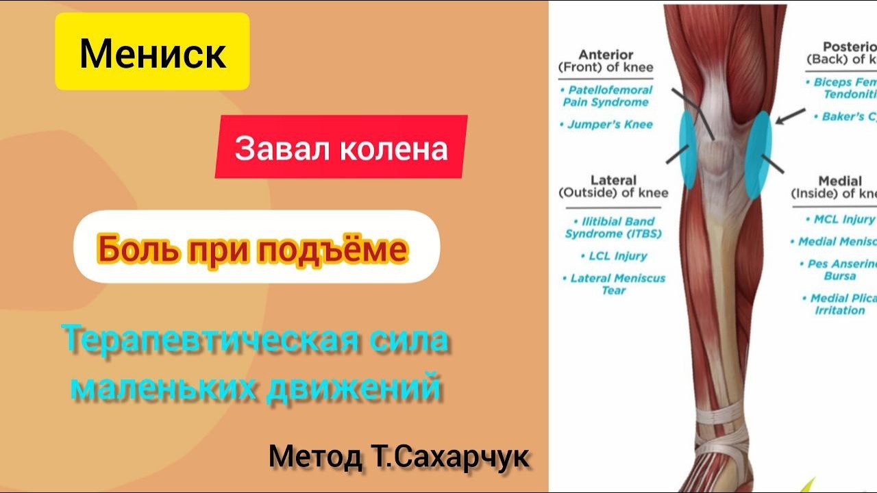 Мениск.Завал колена.Боль при подъёме. Восстанавливаем осознанно. Метод Т.Сахарчук.Читаем описание