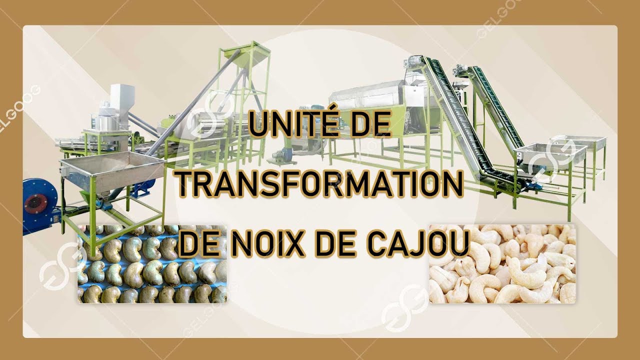 Machine De Traitement Des Noix De Cajou Enti&egrave;rement Automatique