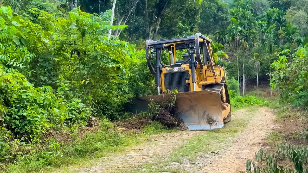 amazing Process of Expanding Plantation Roads Using D6R XL Bulldozers in extreme position