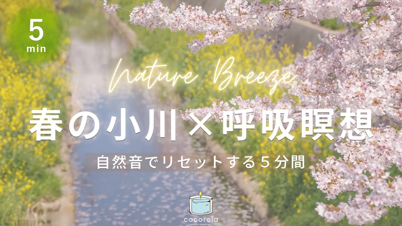 【瞑想 5分】マインドフルネス呼吸瞑想│マインドフルネス瞑想│朝・寝る前