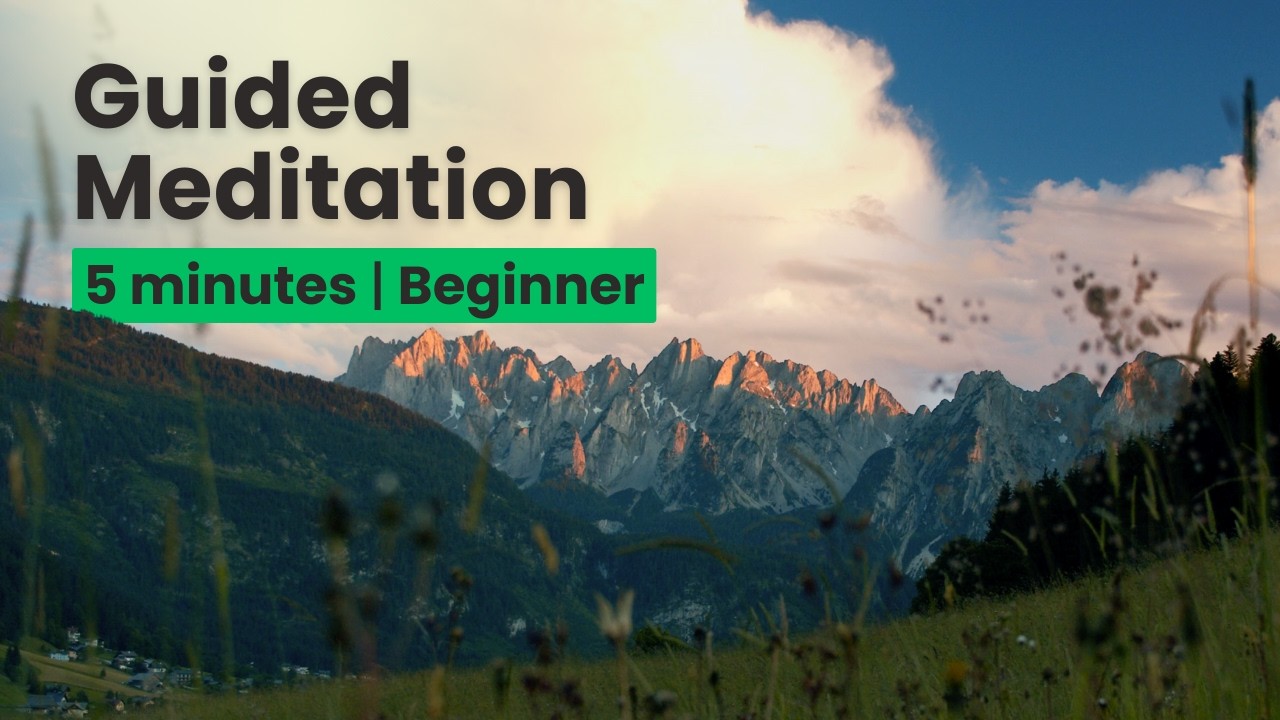5 minute Guided Meditation for Relaxation & Stress Relief (Beginners)