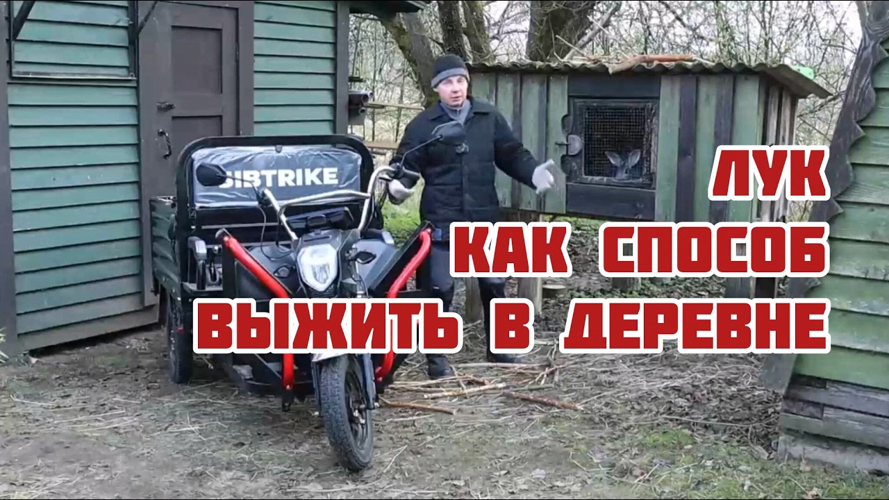 Лук, как способ выжить в деревне
