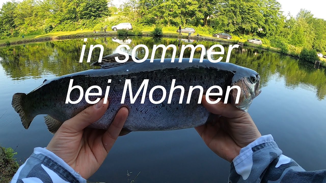 Forellenangeln auf Lachsforellen im sommer