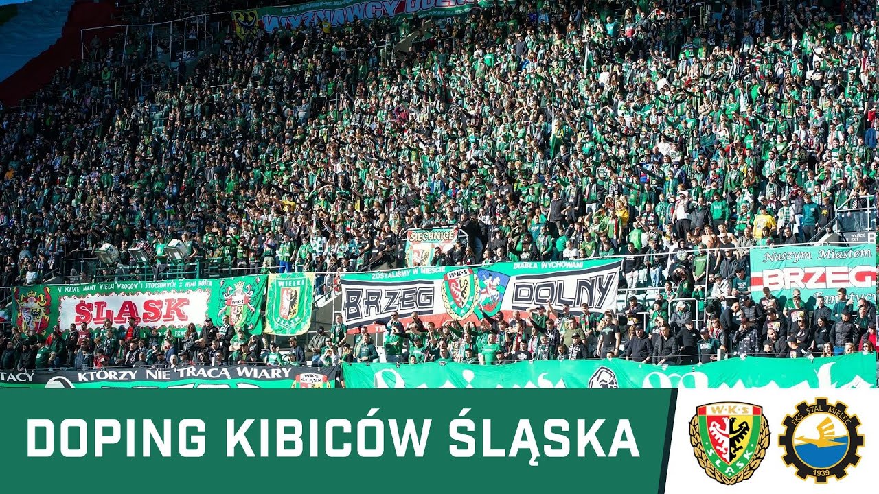 KIBICE: Doping kibic&oacute;w Śląska w meczu ze Stalą Mielec