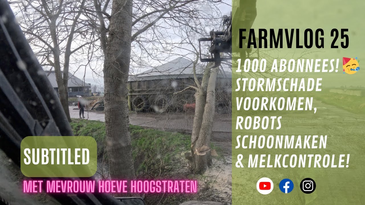 Farmvlog 25: 1000 abonnees dat betekent dat mevrouw Hoeve Hoogstraten jullie meeneemt!🥳