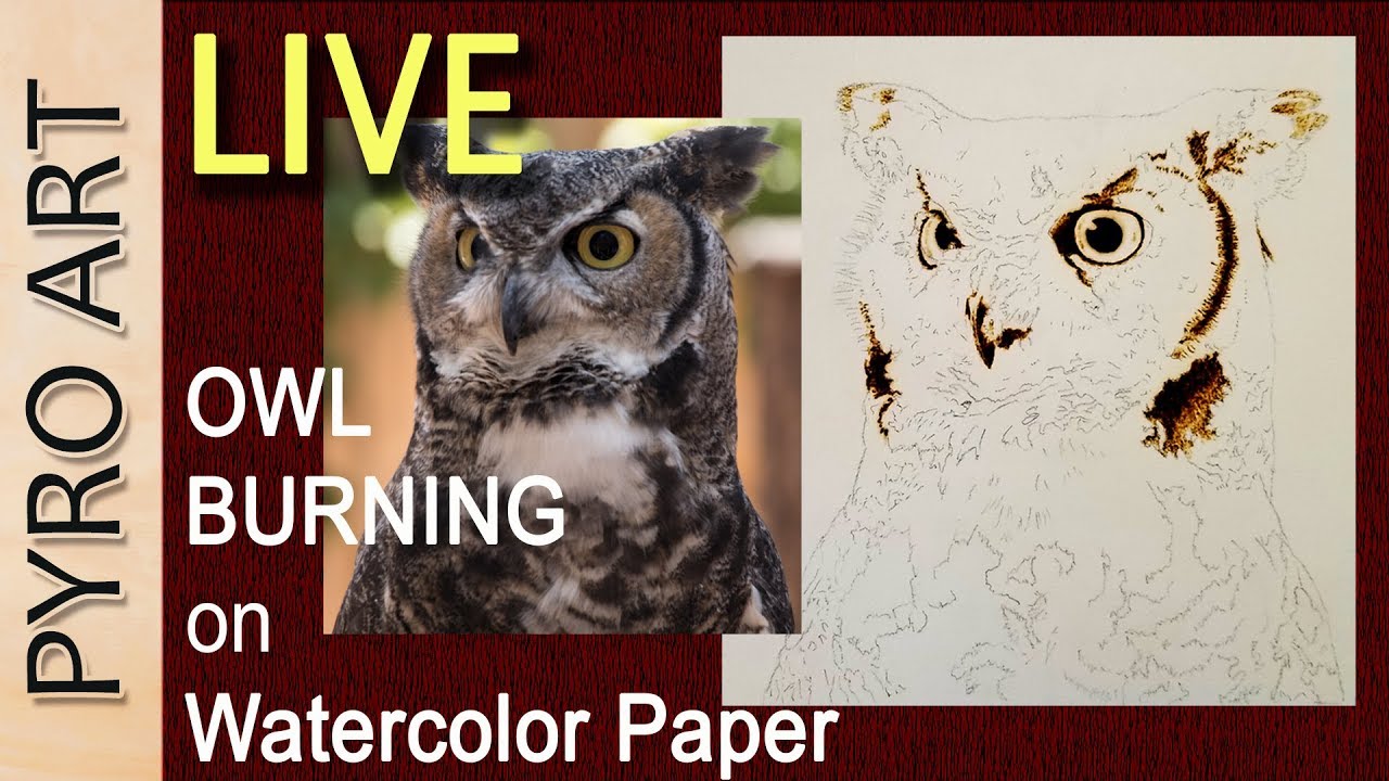 Pyrography: LIVE Wood Burning the Horned Owl on Watercolor paper