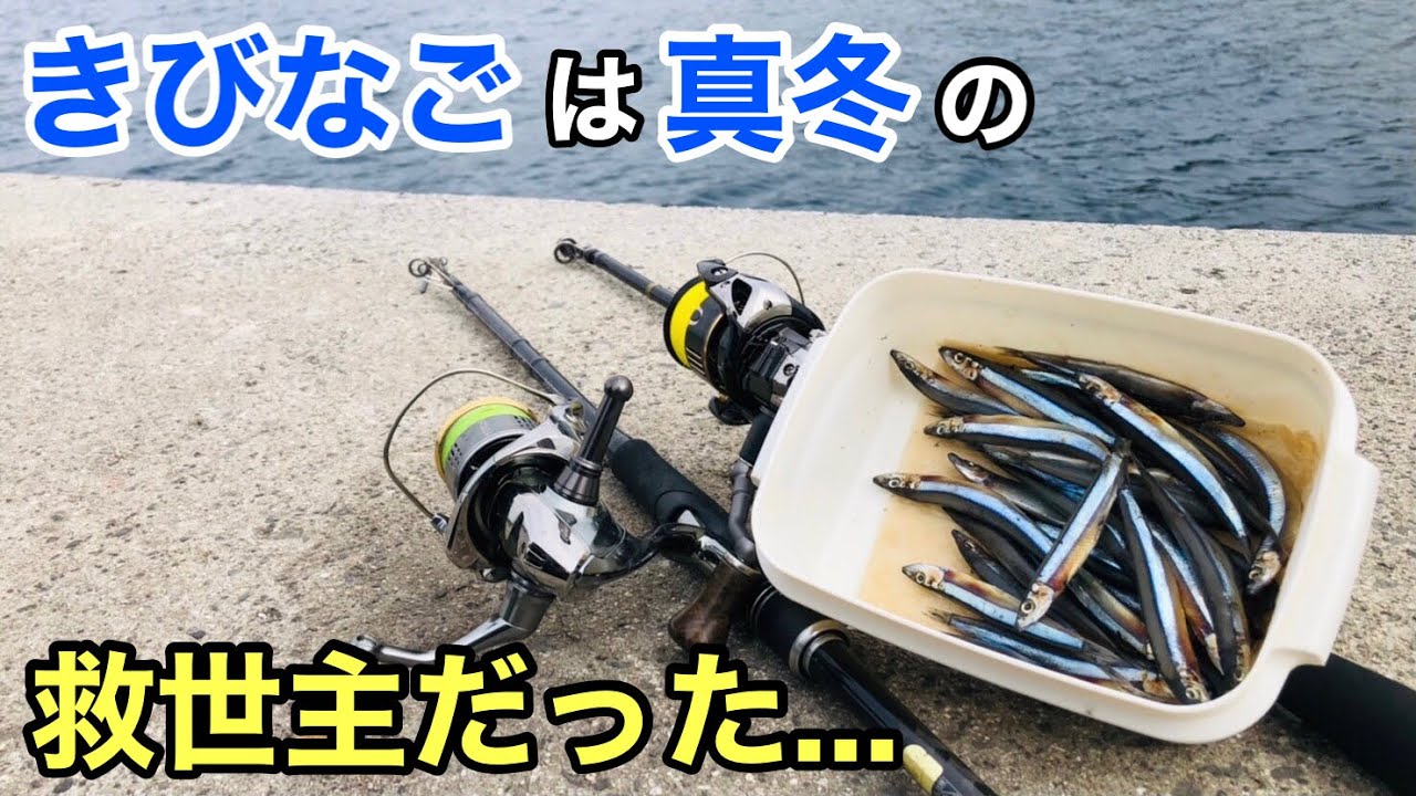 「きびなご」を付けて釣りをしたら真冬でも楽しすぎた！