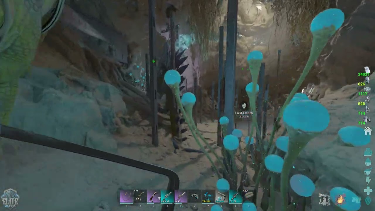 EliteARK BO CAVE 2024 07 17