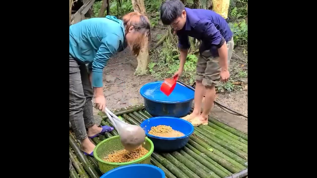“Our Dream Chicken Coop Is Complete — You Won’t Believe Their First Night Inside!”