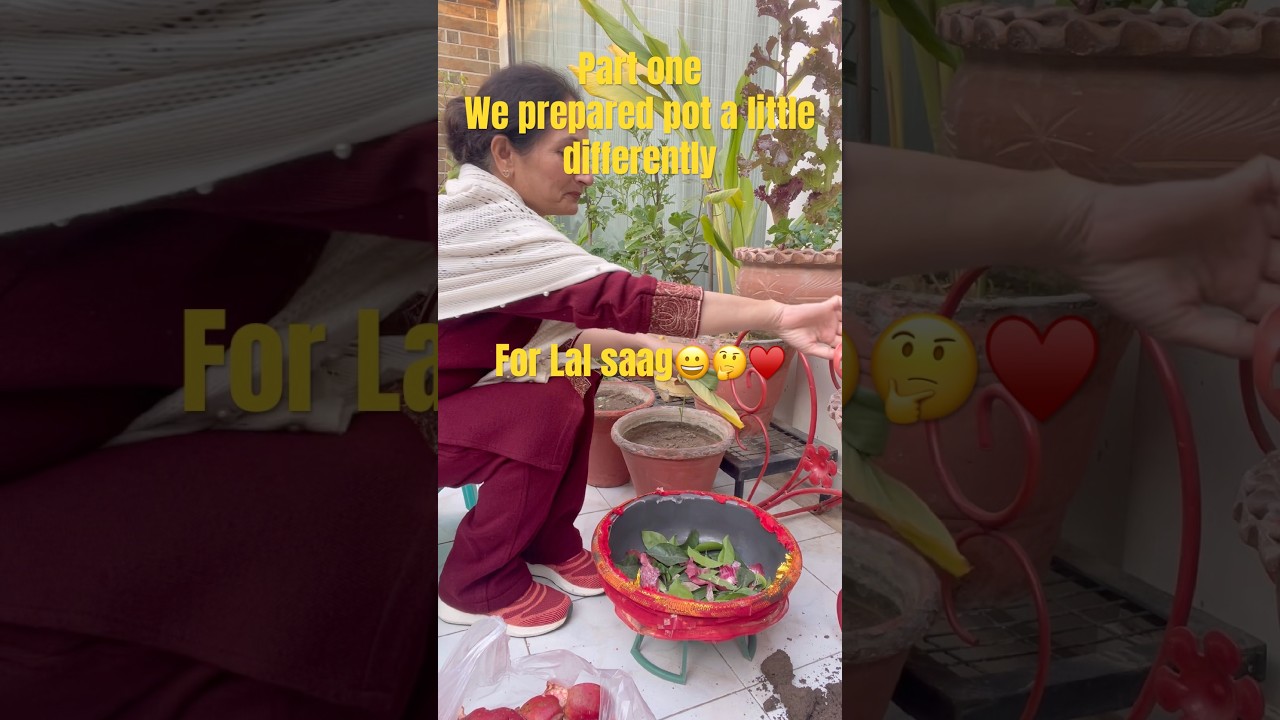 Lal saag part one ♥️🤔😃