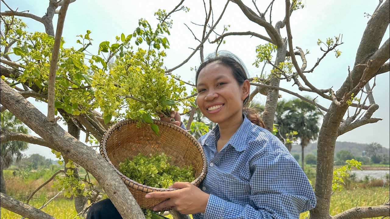 ជ្រក់ផ្កាថ្ងាន់ ត្រីអណ្តែងអាំង ឆម ស្រីផាច - Chhom Sreypach