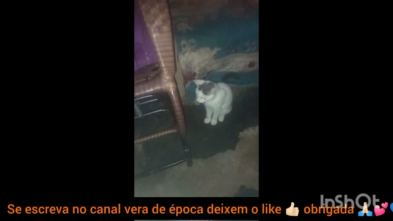 Muita chuva aqui no Ceará 🙏🏻