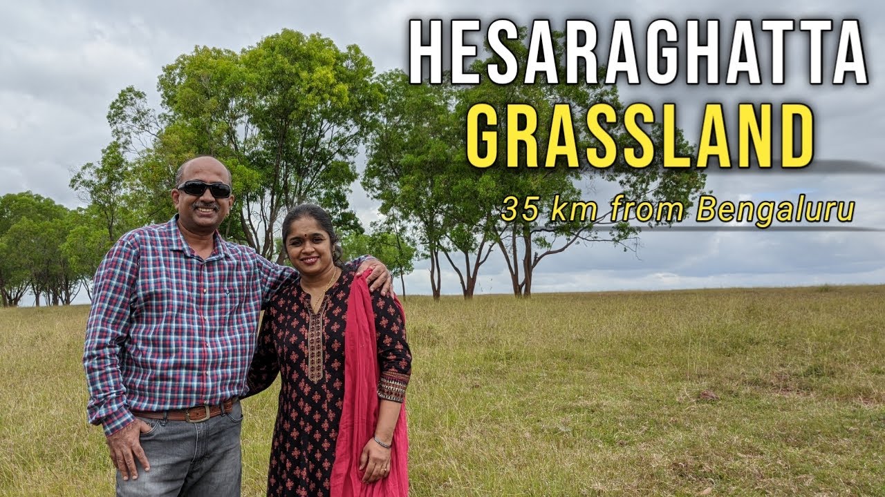 Road trip to Hesaraghatta Grasslands | 35 Km from Bengaluru | Karnataka tourism | Namma Petting Zoo