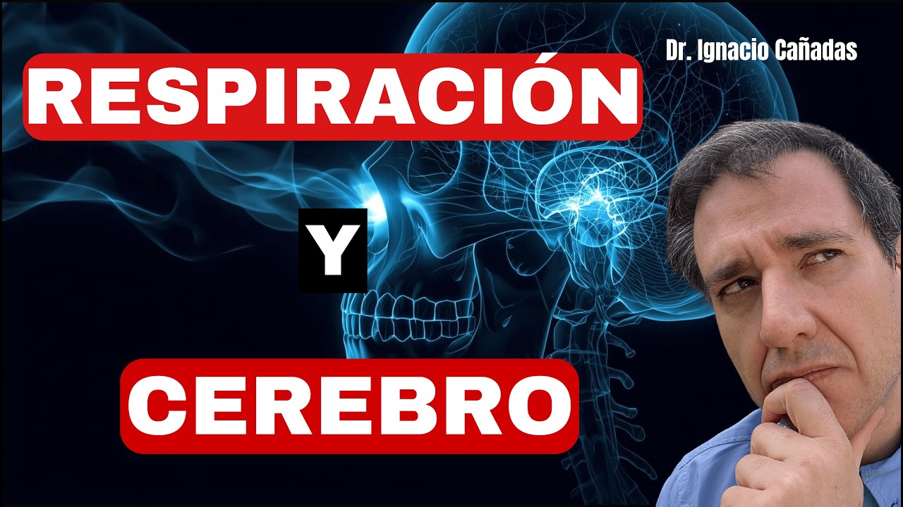 Tu RESPIRACIÓN determina tu INTELIGENCIA [NEUROCIENCIA lo confirma!!]