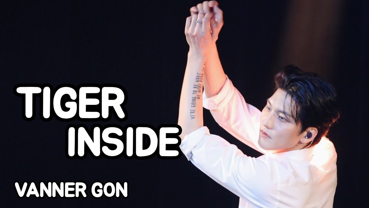[4K] 250204 배너 곤 원서 '호랑이.cover' (VANNER GON) l VANNER 6TH DEBUT ANNIVERSARY [WHAT VVS WANTS]
