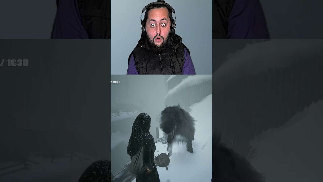 Просто собака😈 | #holy__balls