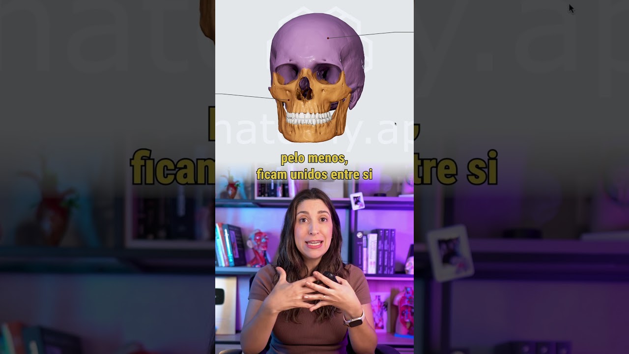 REVISANDO OS OSSOS DO CR&Acirc;NIO E SUTURAS 💀