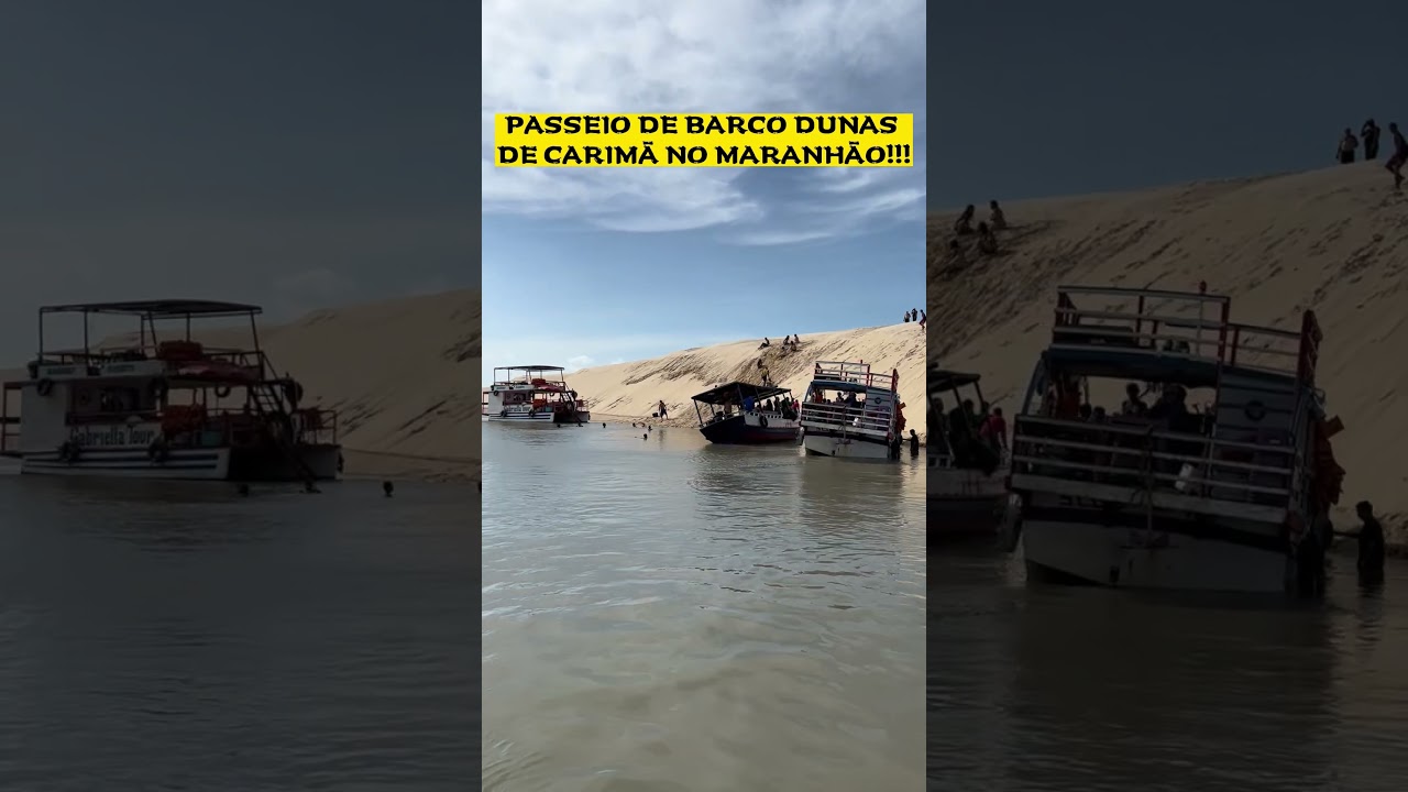 As dunas de Carim&atilde; #shortsfeed #dunas #raposa