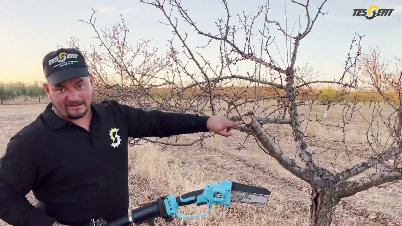MINI MOTOSIERRA PHOENIX – Potencia REAL por 99€ | Supera a Stihl, Altuna y Arvipo | Tessert