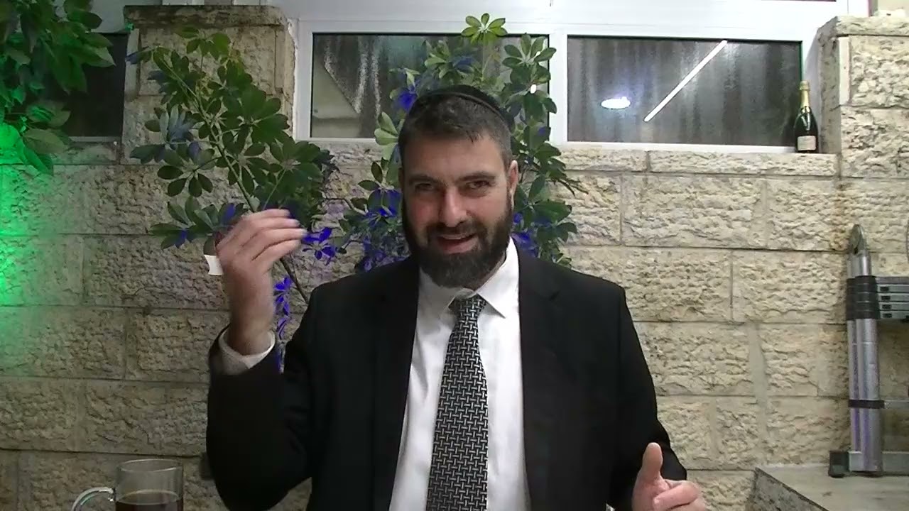 הרב חן עמוס משלי עם פירוש המלבים פרק כ פסוק י' וארא תשפו