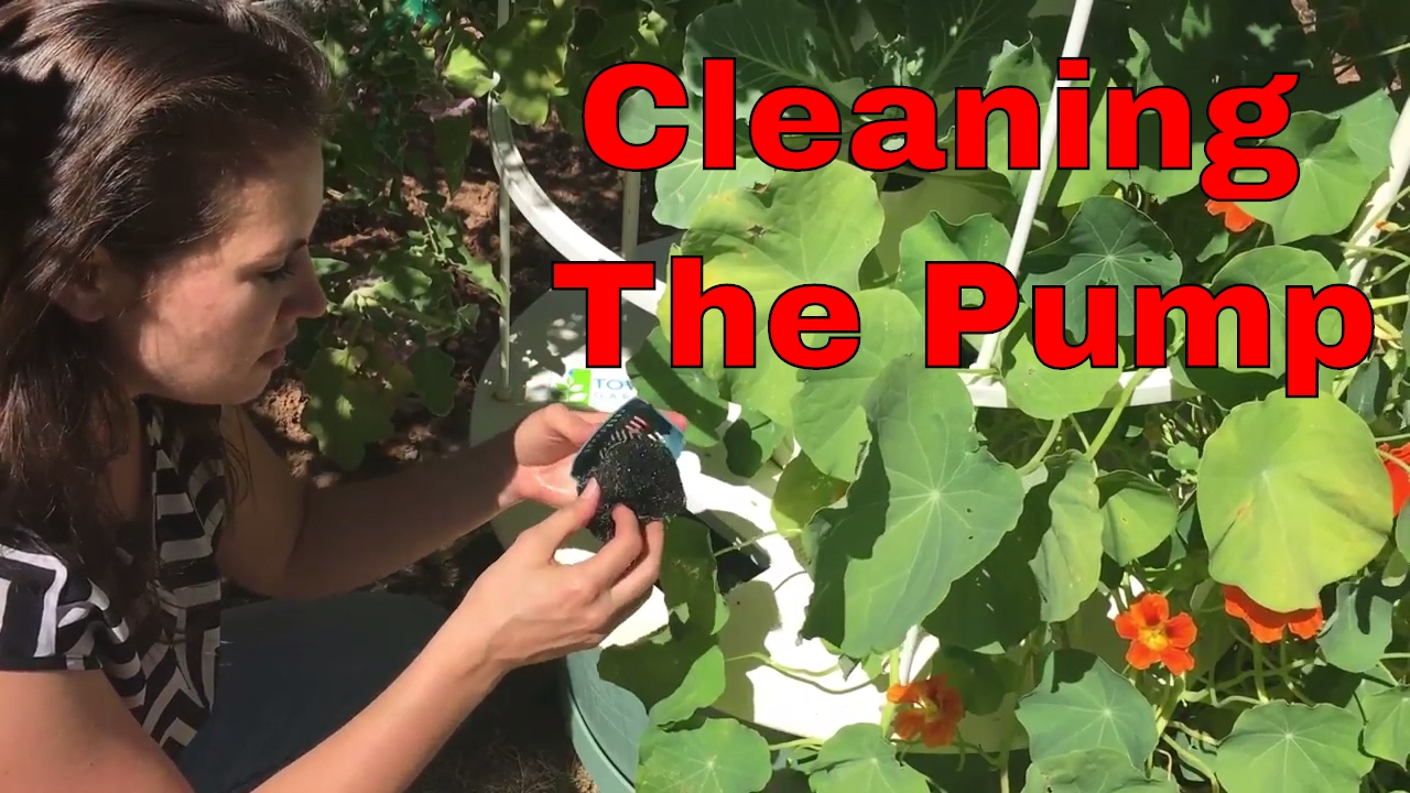 How To Clean Tower Garden Pump - Nutritionist Nikki Golly