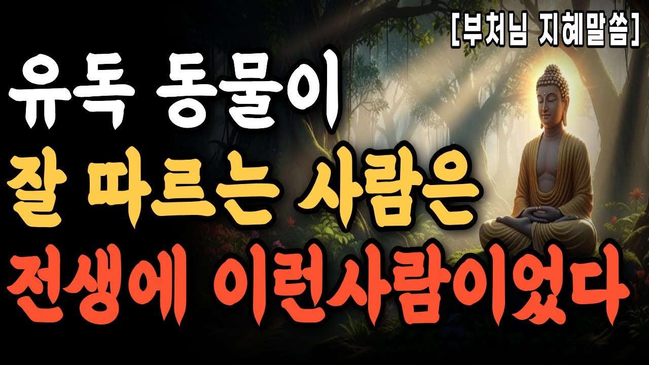 유독 동물이 잘 따르는 사람의 전생, 이런 사람이었다 ㅣ부처님말씀ㅣ불교명언ㅣ전생ㅣ오디오북ㅣ동물과의업연