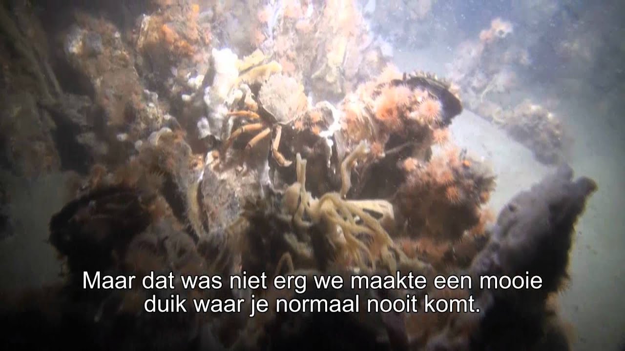 481 Film Duik Wrak den Boer Gorishoek 31 augustus 2011.wmv