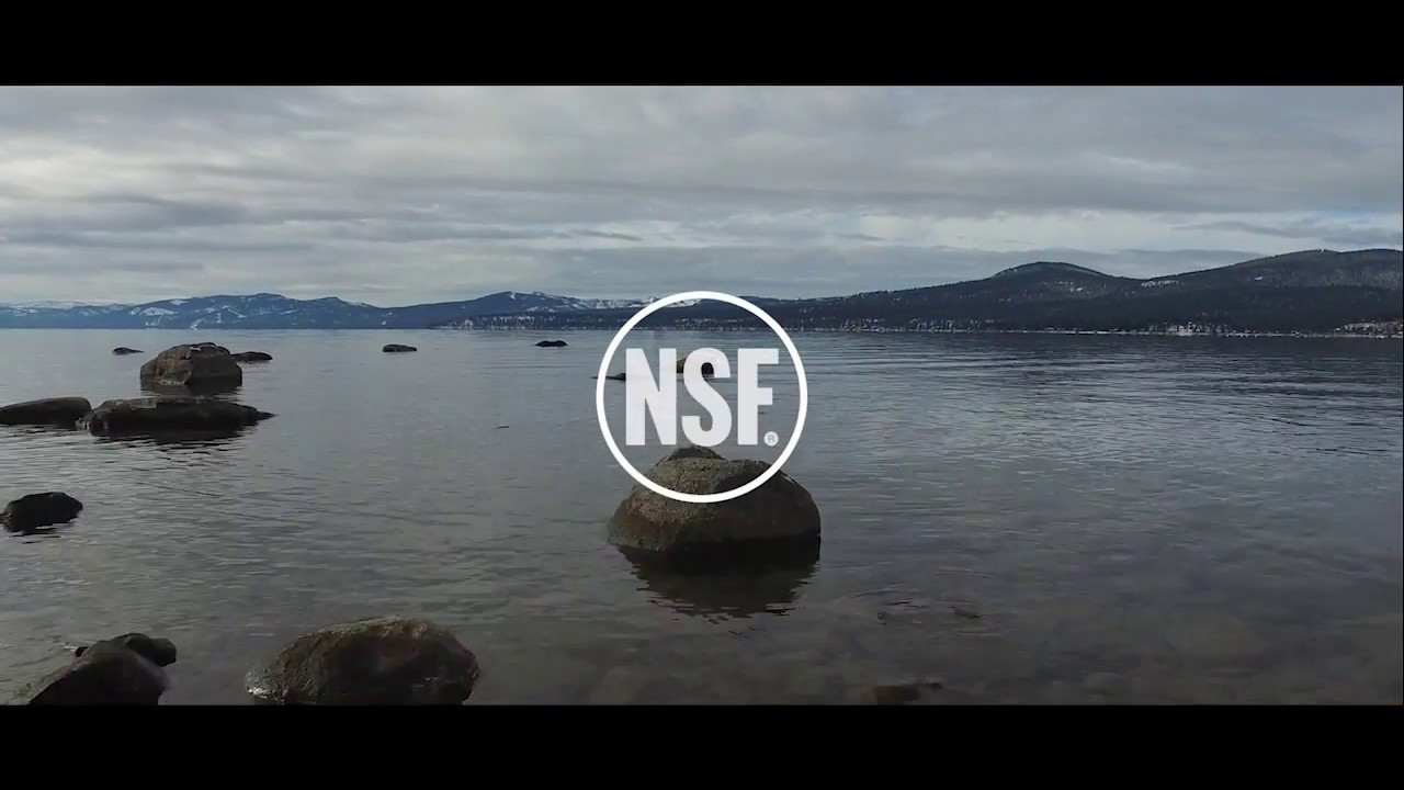 Who is NSF International?