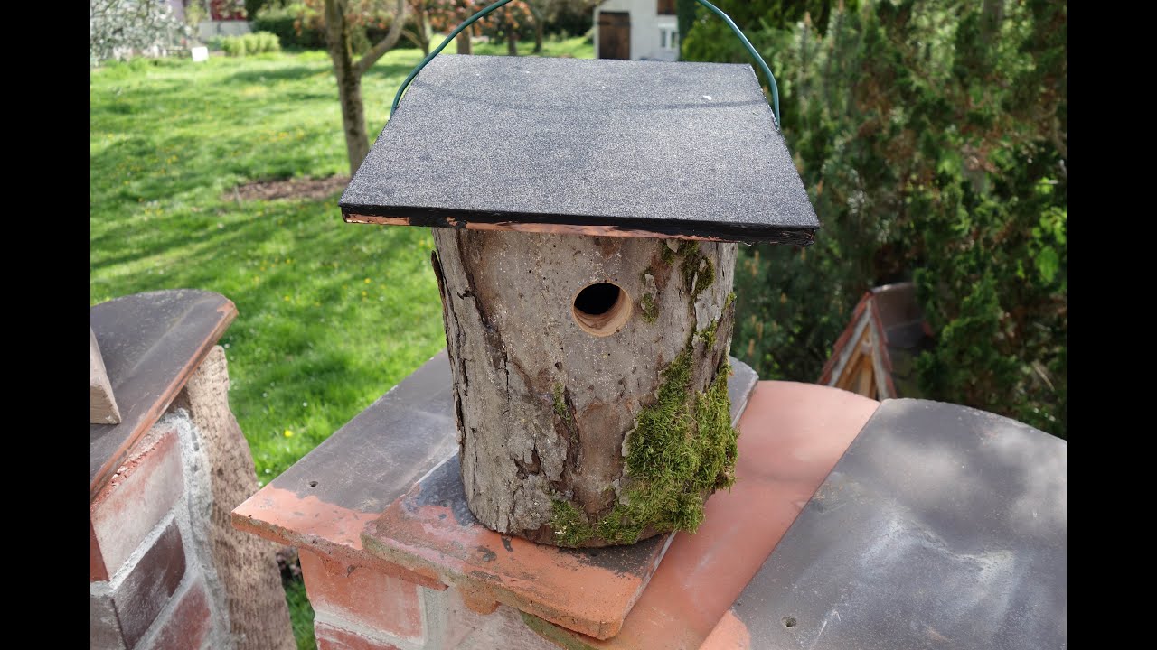 Vogelnistkasten aus hohlem Baumstamm basteln.