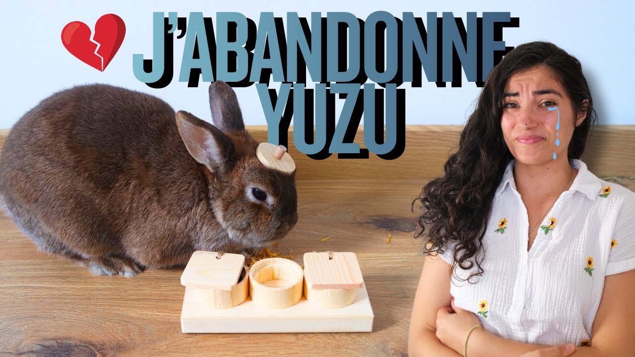 Tu dois abandonner ton lapin ? 😢 Fais au moins les choses bien !