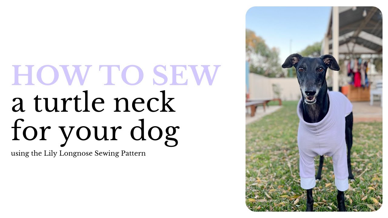 Dog Turtle-neck - Lily Longnose Sewing Tutorial