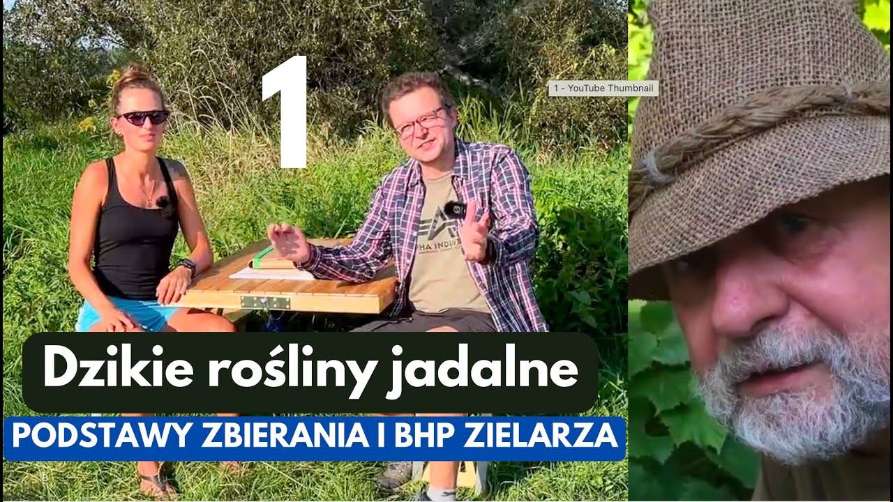Dlaczego nie jeść wszystkiego co popadnie - Dzikie rośliny jadalne 1