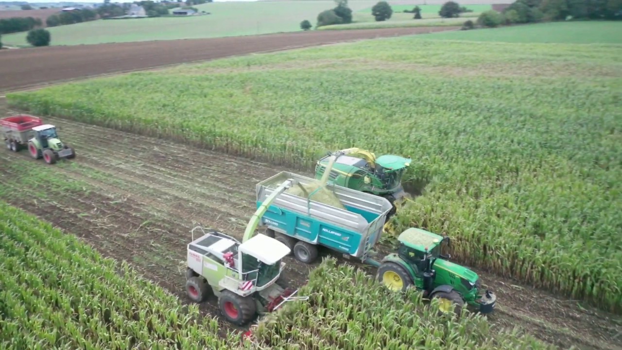 Ensilage de maïs 2019 (22)