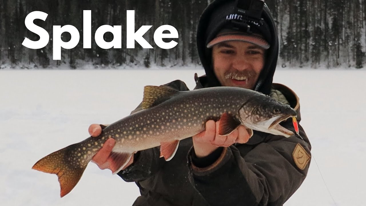 Ice Fishing Tarrison Lakes | Splake & Brown Trout Action!
