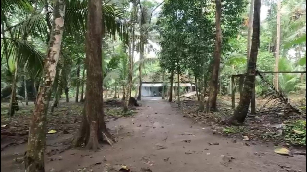 Suasana Pagi di Dusun Kilung, Suasana Khas Pedesaan di selatan Jawa