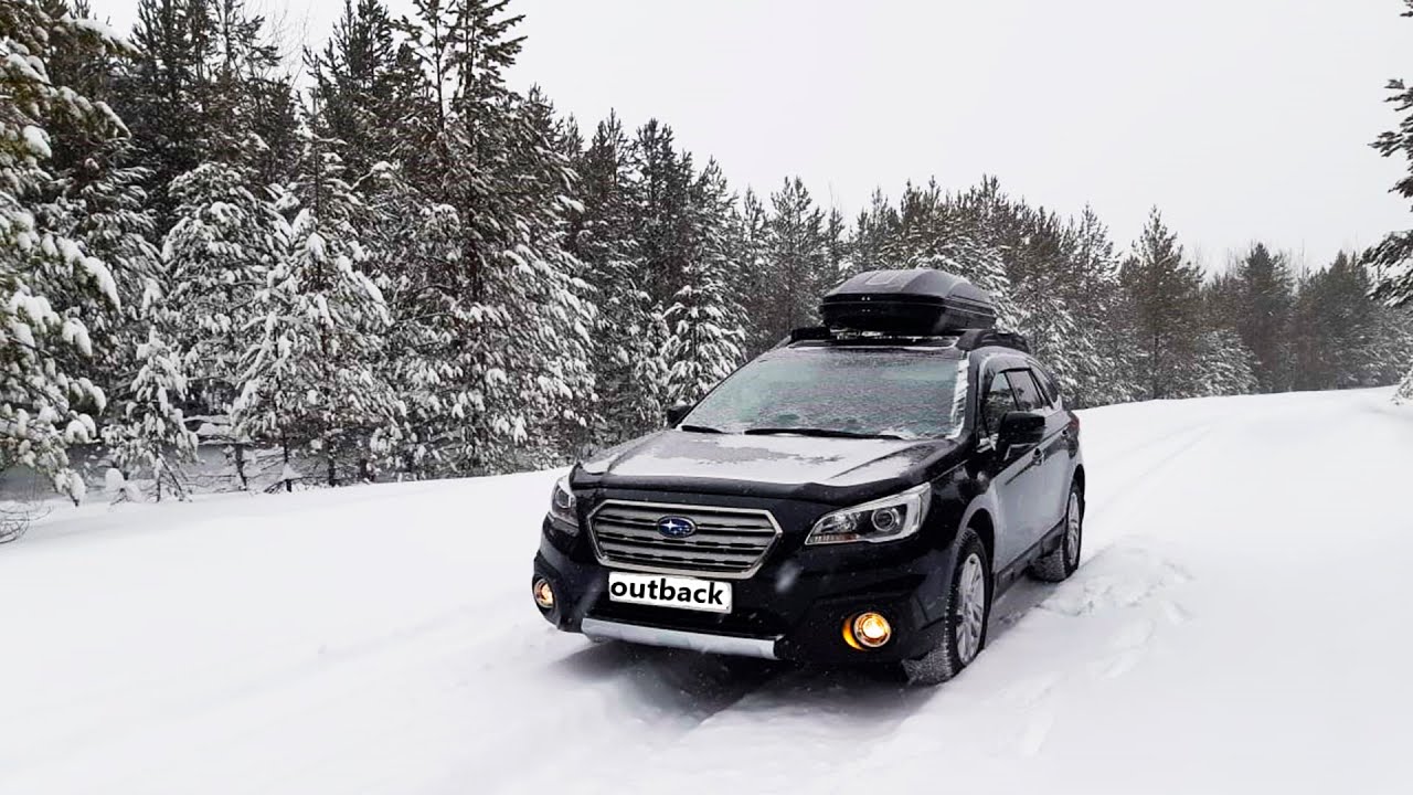 Subaru Outback BS! Звездная Болезнь Заразна!