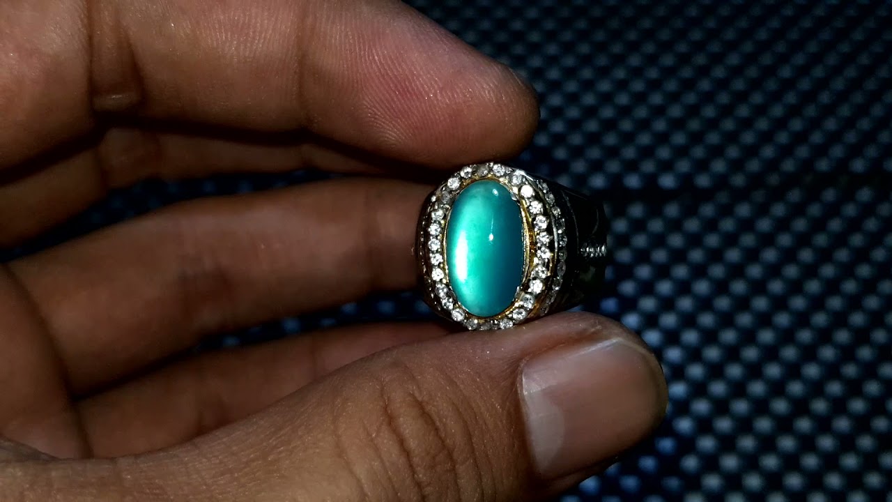 BACAN DOKO GULAU#bacandoko #bacangulau TOP QUALITY