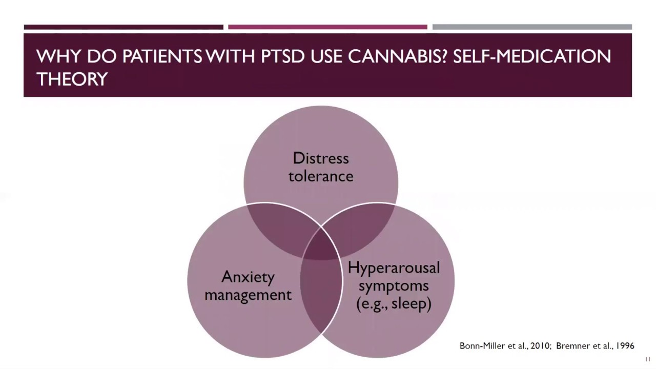 High expectations: Impact of Cannabis on PTSD Recovery