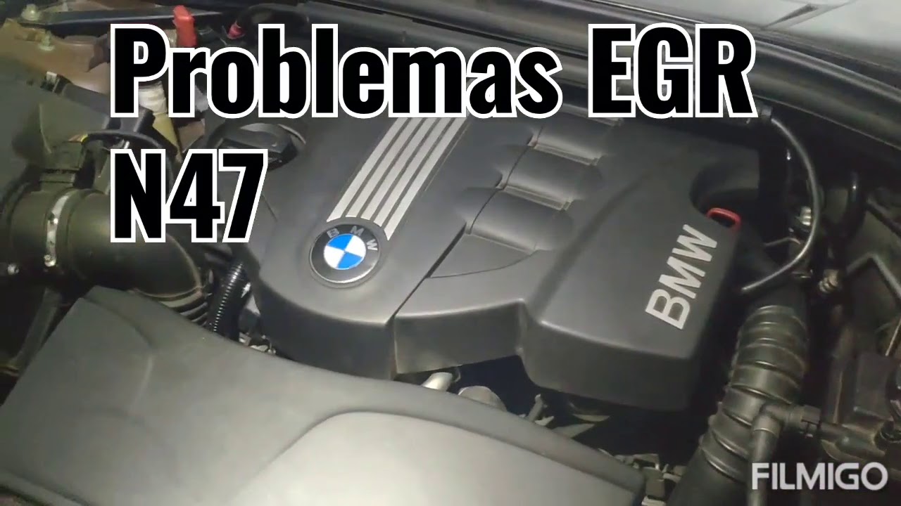 Solución Problemas con egr BMW N47