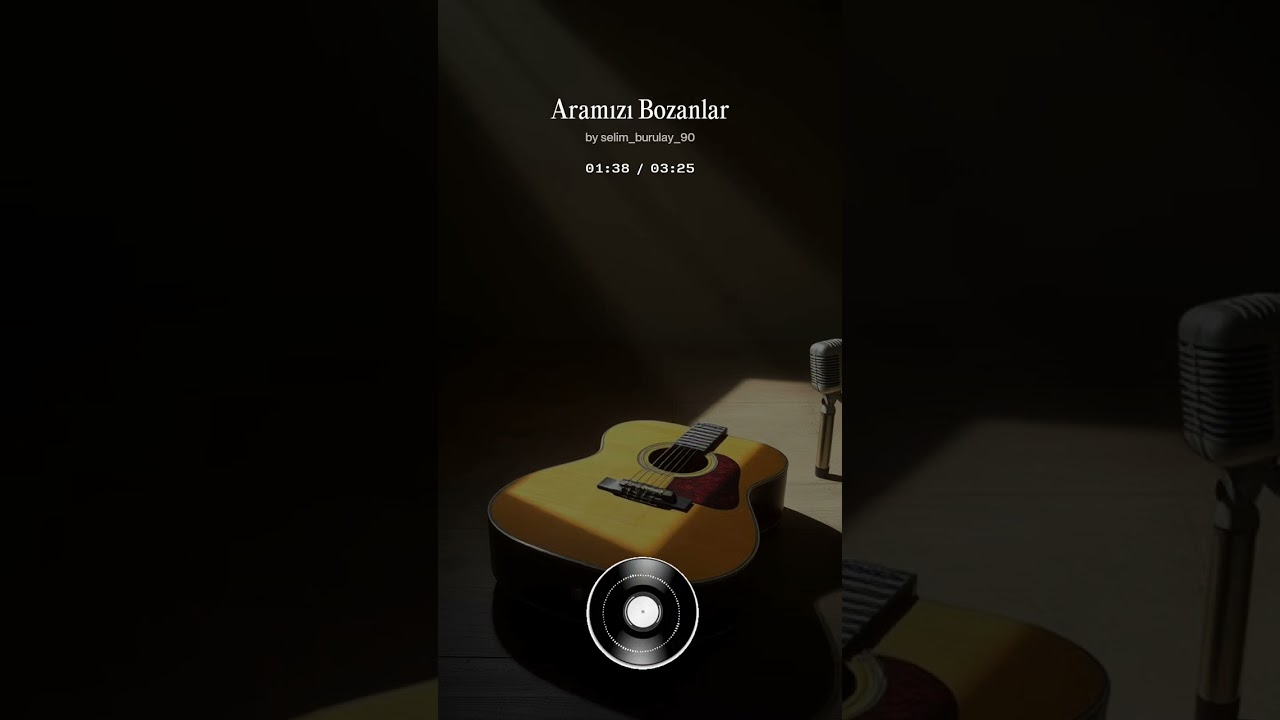 ARAMIZI BOZANLAR